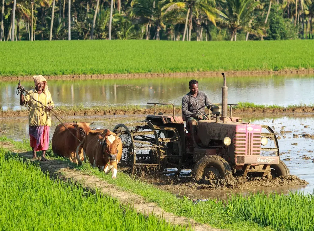 Farmer Partnerships